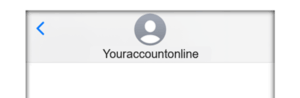 Youraccountonline image